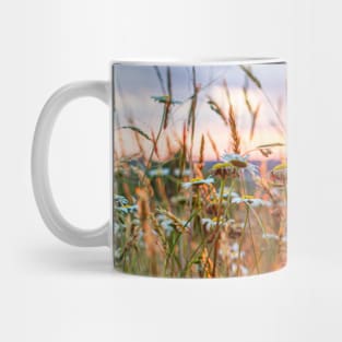 Wildflowers at Sunset Mug